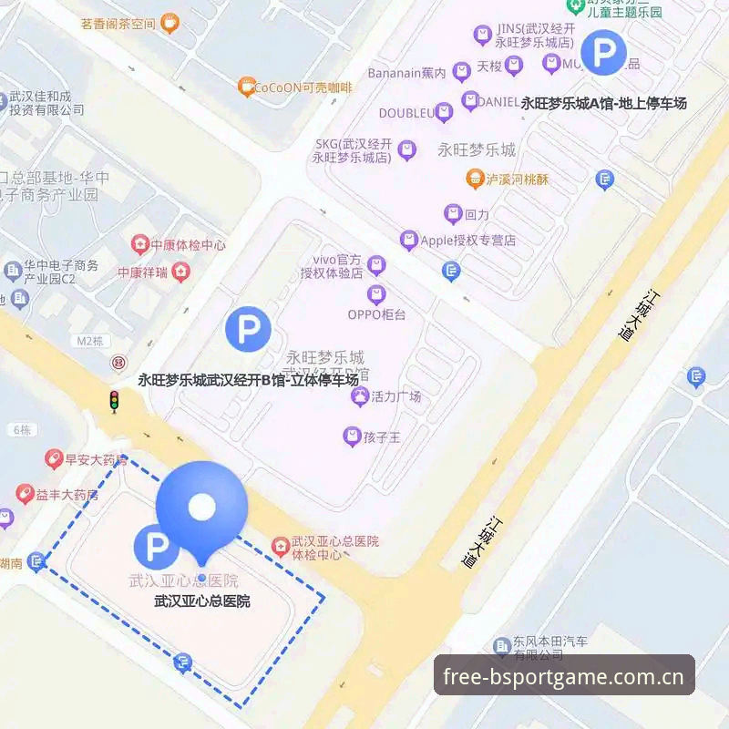 B体育app客户端重启完整指南：从异常处理到赛事数据同步的实用方案