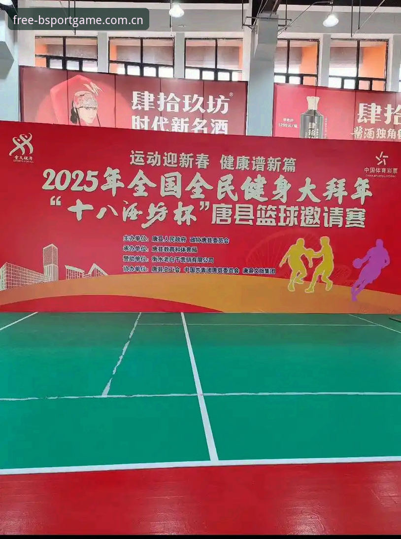 新手必看：B体育最新版下载使用技巧，资深用户分享2025版实战经验